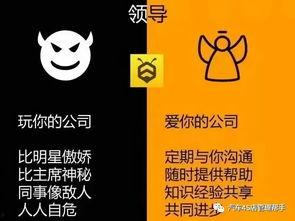 陪玩新闻爆料怎么写文案,新闻爆料背后的真实故事 第2张 陪玩新闻爆料怎么写文案,新闻爆料背后的真实故事 第2张